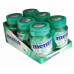 Chiclete MENTHOS Gum Winter 6un