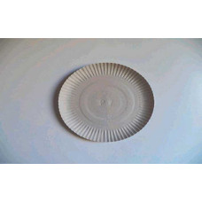 Prato Papelao PITPRATOS 28cm N7 100un
